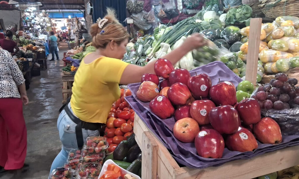 Compradores aprovechan precios estables en el mercado Roberto Huembes Compradores aprovechan precios estables en el mercado Roberto Huembes