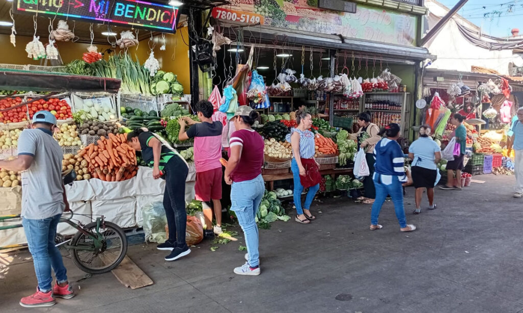 Frutas y verduras se venden con buen abastecimiento en el mercado El Mayoreo