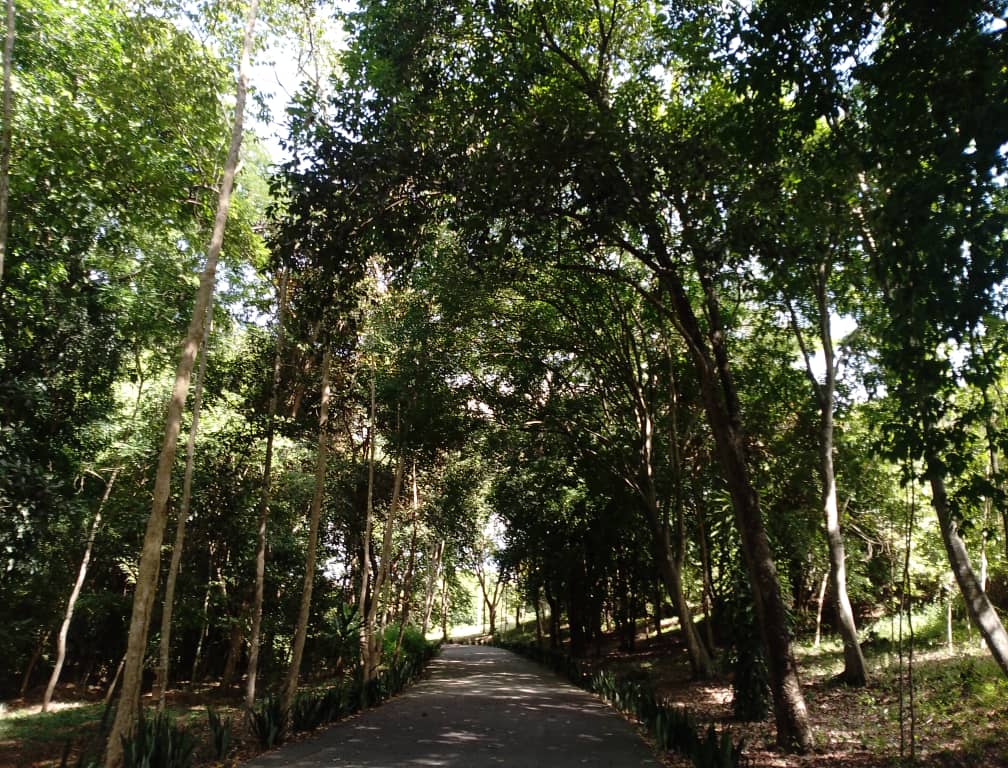 I Have No Fatherland/Motherland – Havana Times I Have No Fatherland/Motherland – Havana Times