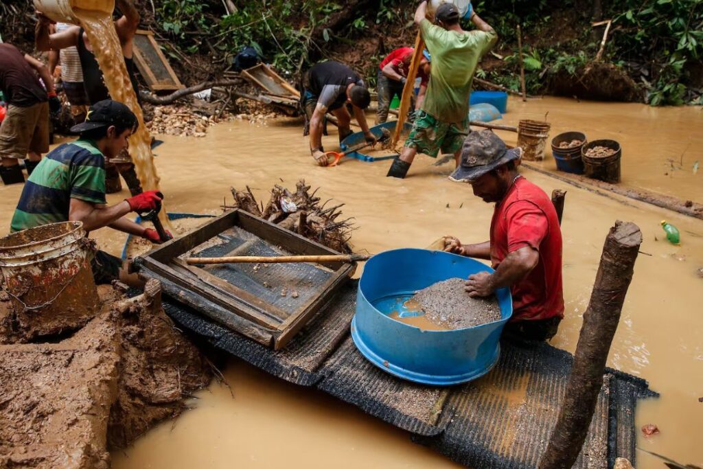 Ministro dice que mineras chinas en Nicaragua compran oro extraído ilegalmente en Costa Rica Ministro dice que mineras chinas en Nicaragua compran oro extraído ilegalmente en Costa Rica