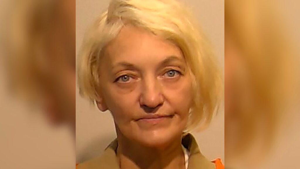 Svetlana ‘the stowaway’ Dali allegedly snuck onto United flight at Newark airport: Sources Svetlana ‘the stowaway’ Dali allegedly snuck onto United flight at Newark airport: Sources