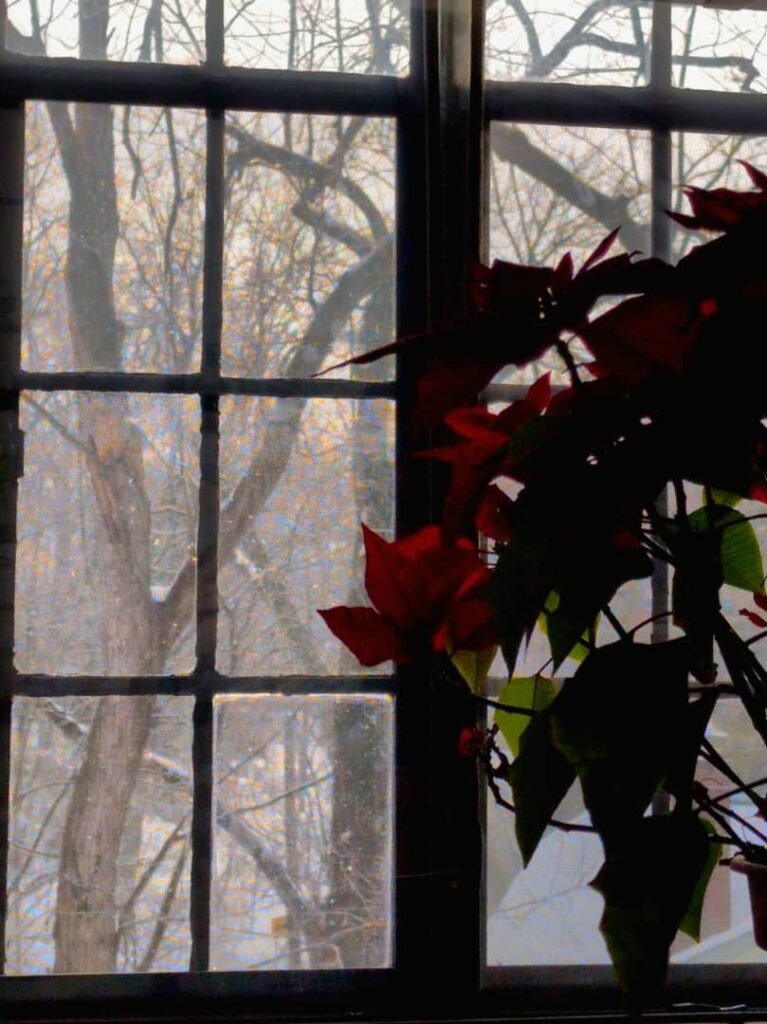 Winter on the Other Side, Ohio, USA – Photo of the Day