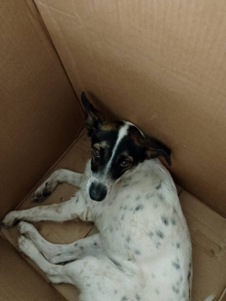 Goodbye, Crazy – Havana Times Goodbye, Crazy – Havana Times