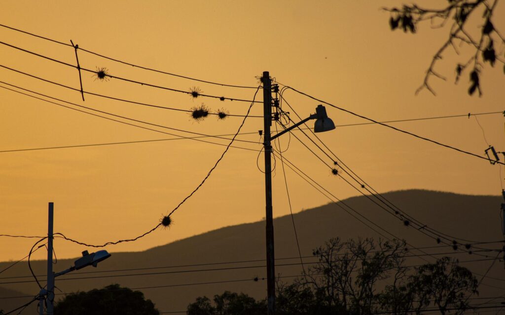 What Have I Found Upon Returning to Venezuela?